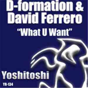 D-Formation & David Ferrero - What U Want flac download