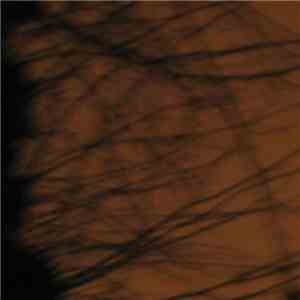 Various - Hibernate Sampler Volume 8 flac download
