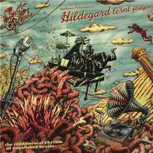Andreas Schaerer's Hildegard Lernt Fliegen - The Fundamental Rhythm Of Unpolished Brains flac download