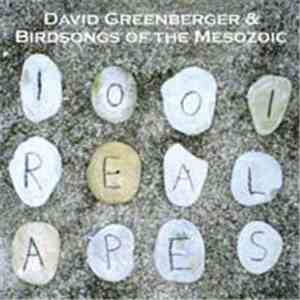 David Greenberger & Birdsongs Of The Mesozoic - 1001 Real Apes flac download