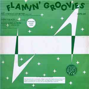 Flamin' Groovies - Feel A Whole Lot Better flac download