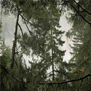 Sage Taylor - Raintime flac download