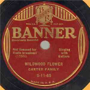 Carter Family - Wildwood Flower / Little Darling Pal Of Mine flac download