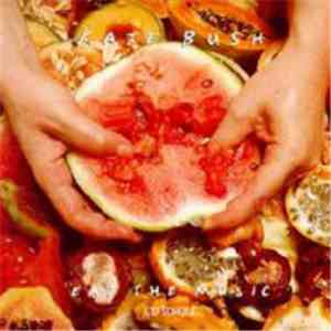 Kate Bush - Eat The Music flac download
