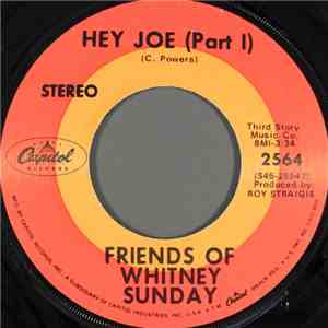 The Friends Of Whitney Sunday - Hey Joe flac download