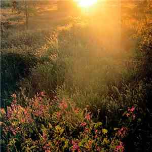 Various - 13 Weeks Of Summer flac download