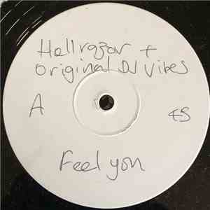 Original DJ Vibes & Hellrazor - Intelligent Jungle flac download