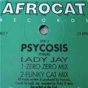 Psycosis Meets Lady Jay  - Dub Chamber flac download