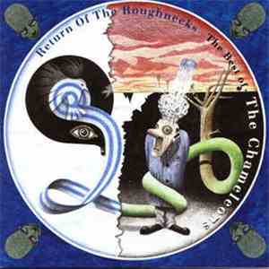 The Chameleons - Return Of The Roughnecks - The Best Of The Chameleons flac download