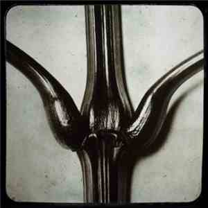 Chapel Club - Five Trees flac download