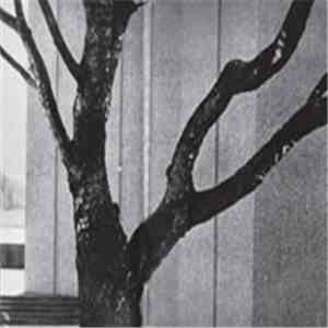 Muskap - Upright At The End Of Lippestad (Both Ways) flac download