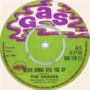 The Shades - Never Gonna Give You Up flac download