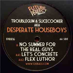Troublegum & Slicecooker a.k.a. Desperate Houseboys  - No Summer For The Real Guys flac download