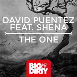 David Puentez Feat. Shena - The One flac download