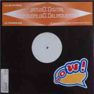Digital Delinquents - 2 Do Anything flac download