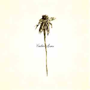 Patrick Watson  - Wooden Arms flac download