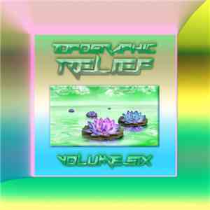 Various - Topographic Relief Vol 6 flac download