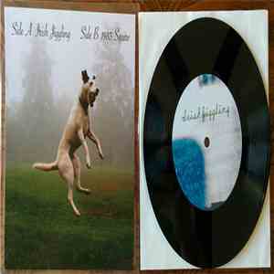 Bloomypetal - ​Irish Jiggling / 1983 Squire​ flac download