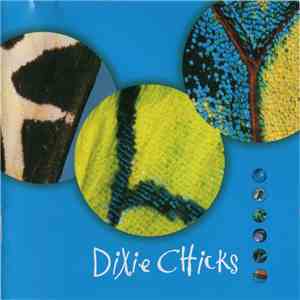 Dixie Chicks - Fly flac download