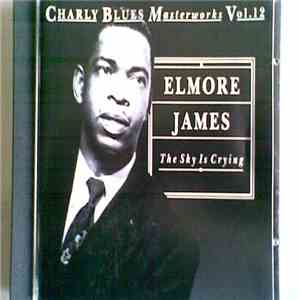 Elmore James - The Sky Is Crying flac download