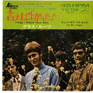 The Grass Roots - Things I Should Have Said flac download