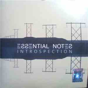Essential Notes - Introspection flac download