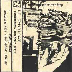 Le Syndicat - Hammerbones / Putrefied Brain flac download
