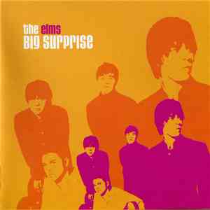 The Elms - The Big Surprise flac download