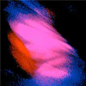 Various - VAR2000 flac download