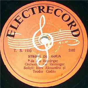 Imre Alexandru ȘI Teodor Codău / Alin Noreanu - Stropi De Rouă / Car Je T'aime flac download