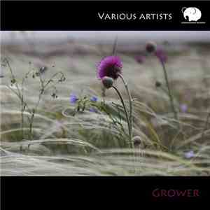 Various - Grower flac download