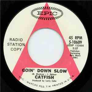 Catfish  - Goin’ Down Slow / Jump In The River flac download