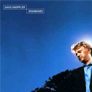 David Knopfler - Wishbones flac download