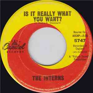 The Interns  - Is It Really What You Want? / Just Like Me flac download