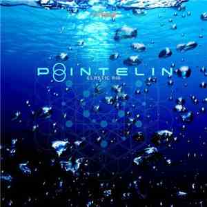 Pointelin - Elastic Air flac download