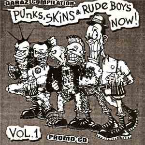Various - Punks, Skins & Rude Boys Now! Vol. 1 flac download