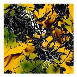 Various - Tribute To Mycorrhizae flac download
