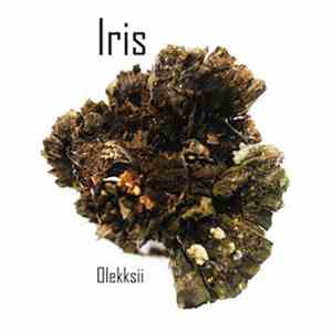 Olekksii - Iris flac download