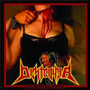 Destroyer  - Slashing Metal flac download
