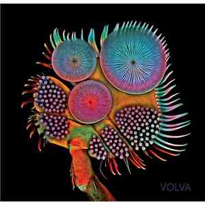 Echolot  - Volva flac download