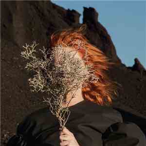 Goldfrapp - Silver Eye flac download