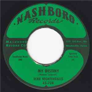 Dixie Nightengales - My Destiny flac download