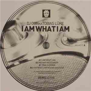Tobias Lüke - I Am What I Am flac download