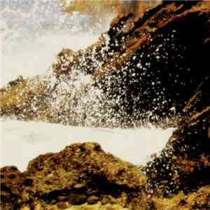Coppice Halifax - High Hawaiian Fog flac download