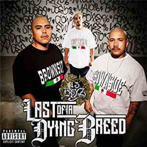 13 Boy'z - Last Of A Dying Breed flac download