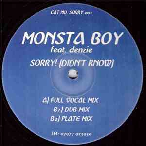 Monsta Boy Feat. Denzie - Sorry! (Didn't Know) flac download