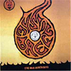 Various - Mystic Brew - The Main Ingredients flac download