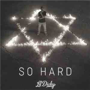 Lil Dicky - So Hard flac download