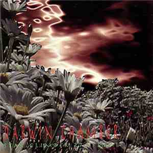 Darwin Chamber - Star Climber 27. Final flac download