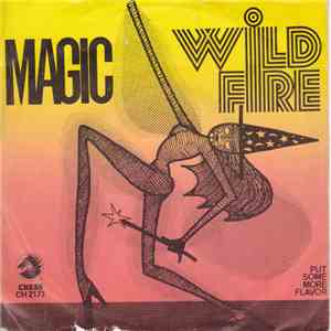 Wild Fire  - Magic / Put Some More Flavor flac download